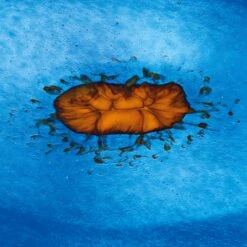 Glazen Schaal Mondgeblazen -Interio Winkel glazen schaal mondgeblazen 2