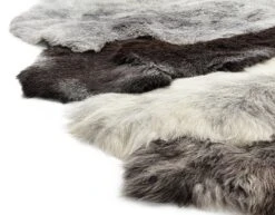 Heidschnuckenfell 8 Heidschnuckenfell -Interio Winkel heidschnuckenfell 2