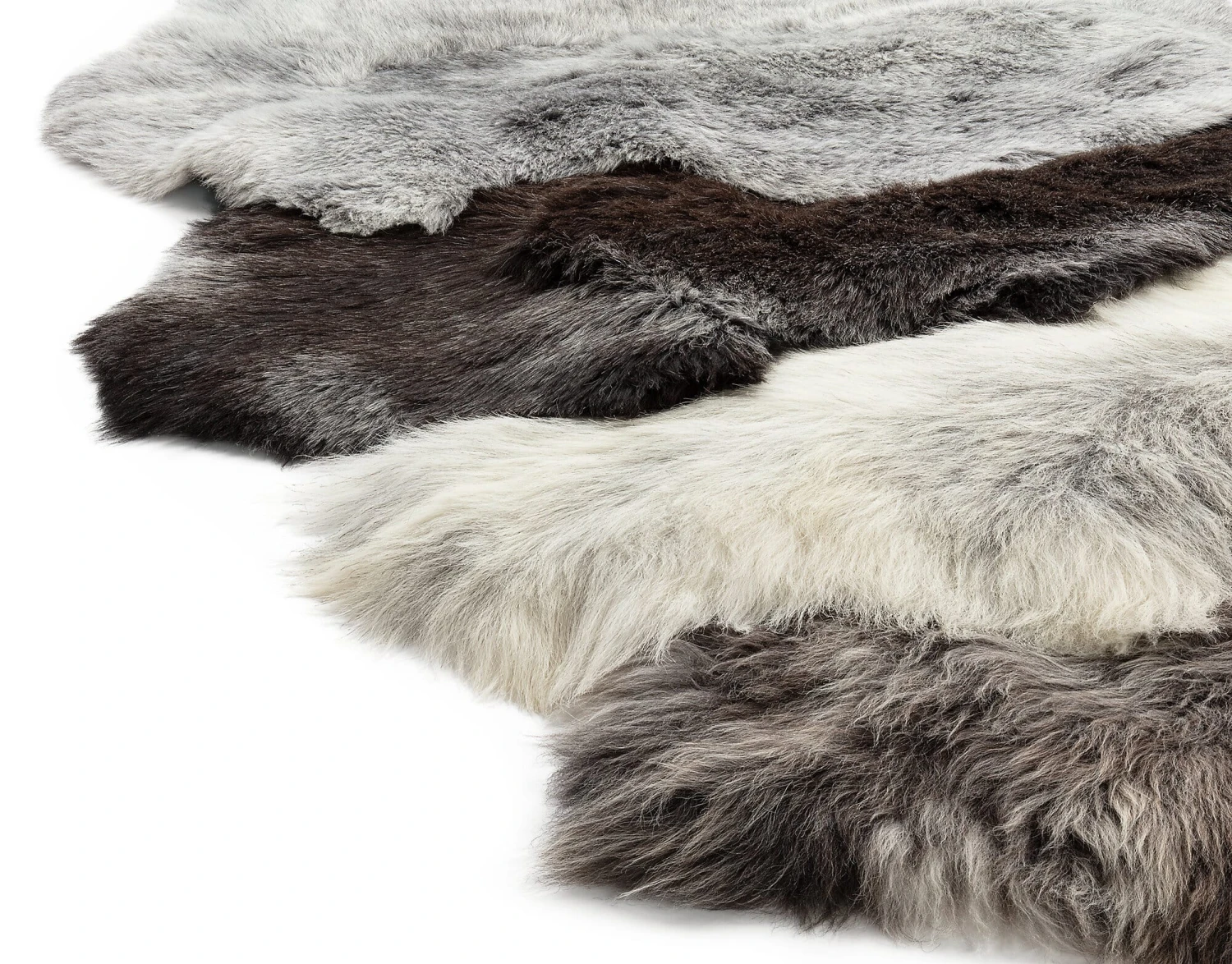 Heidschnuckenfell 5 Heidschnuckenfell - Afbeelding 3