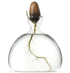 Kiempot Hulst, 10 X 10 Cm -Interio Winkel kiempot hulst 1