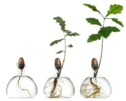 Kiempot Hulst, 10 X 10 Cm -Interio Winkel kiempot hulst 3