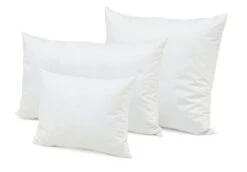 Kussen Met Ganzenveren En Donsvulling, 40 × 40 Cm -Interio Winkel kussen ganzenveren donsvulling 2