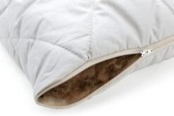 Kussen Kameelpluis -Interio Winkel kussen kameelpluis 1