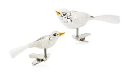 Lauscha Glazen Vogels Traditioneel