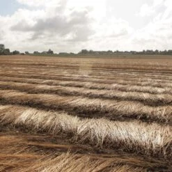 Manufactum Keukenhanddoek, Zwart -Interio Winkel manufactum keukenhanddoek 3