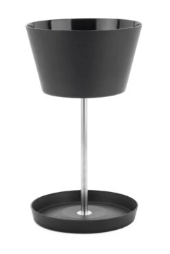 Paraplubak Mand, Antraciet