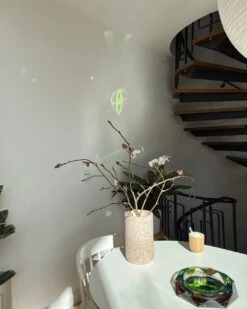 Regenboog Schaal, Klein -Interio Winkel regenboog schaal 5