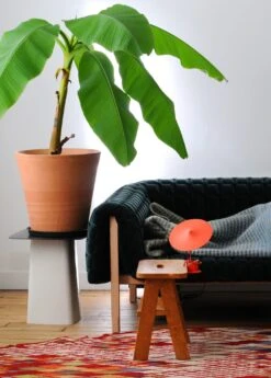 Tafel- En Klemlamp W153 Île, Red -Interio Winkel tafel klemlamp w153 ile 5