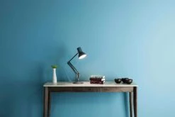 Tafellamp Anglepoise® Mini Type 75, Grijs -Interio Winkel tafellamp anglepoise mini type 75 22