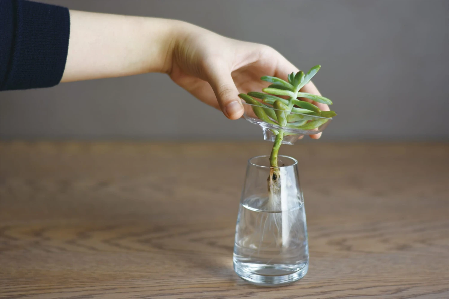 Kinto Vaas Aqua, Klein, Kleurloos 4 Kinto Vaas Aqua, Klein, Kleurloos - Afbeelding 2