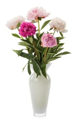 Vaas Harskristal Bolvormig Groot, Wit -Interio Winkel vaas harskristal bolvormig groot 2