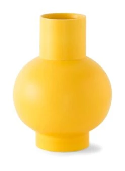 Vaas Strøm, Mat Geel