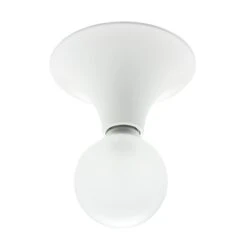 Wand- En Plafondlamp Etna